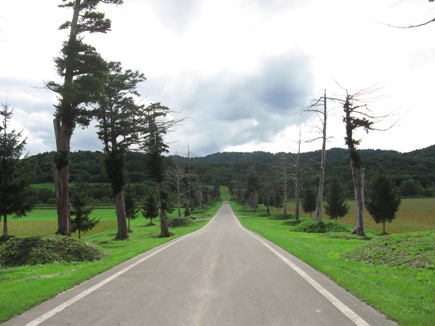 Long straight road in Japan