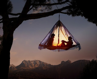 treetop camping